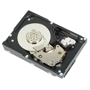 6TB 7.2K RPM SAS 12Gbps 4Kn 3.5in Cabled Hard Drive,CusKit