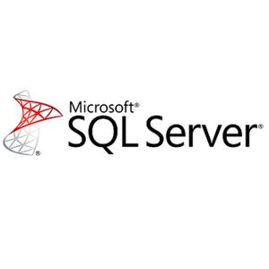 Phần Mềm Bản Quyền SQL Server 2019 - 1 User CAL