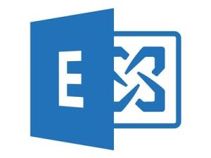Microsoft Exchange 2019 Server Standard 