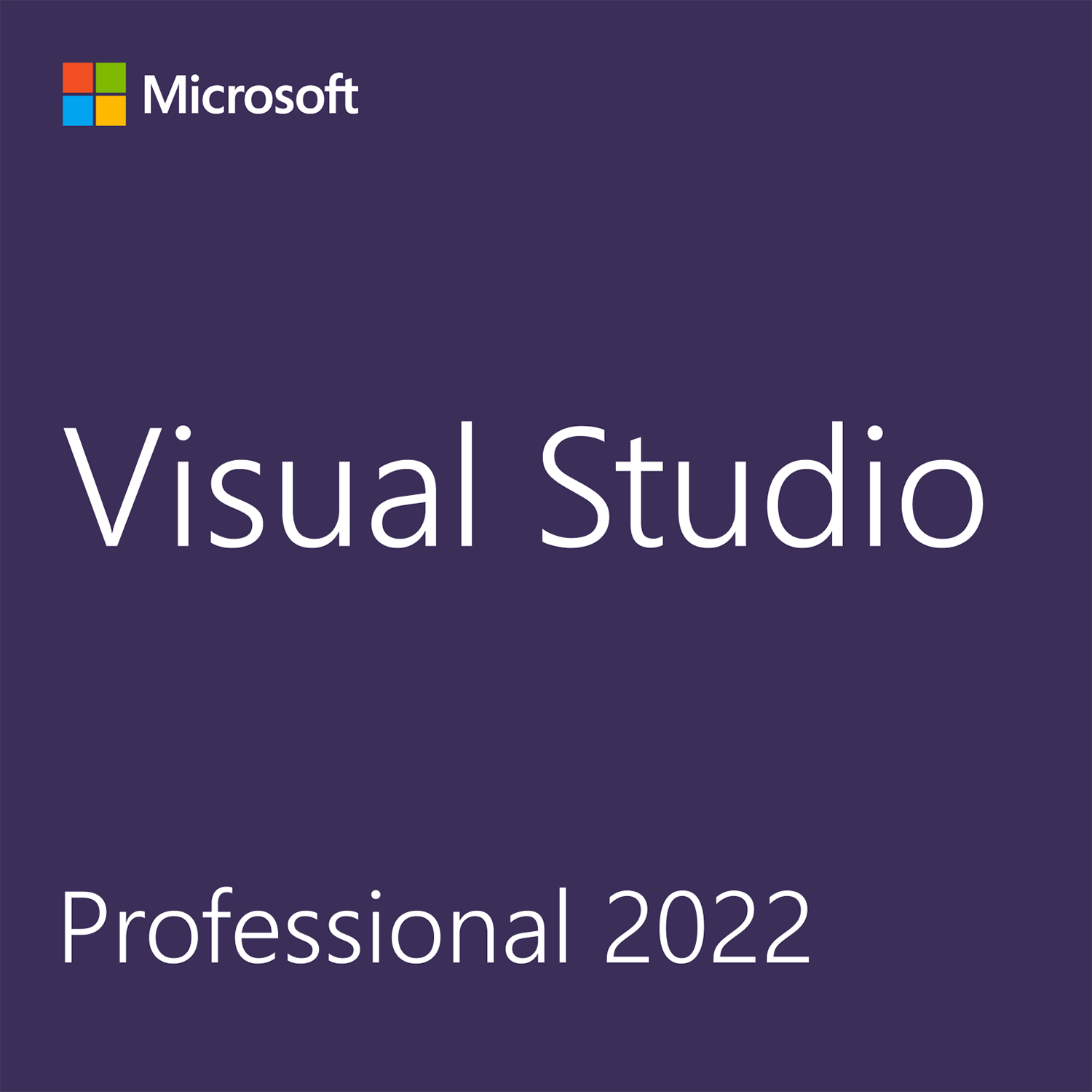 Visual Studio Professional 2022 là gì?