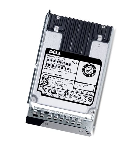 DELL SSD SAS  - Ri 12gbps 512e  Pm6 Hot Plug 1 Dwpd Cus Kit  (345-BBXY)
